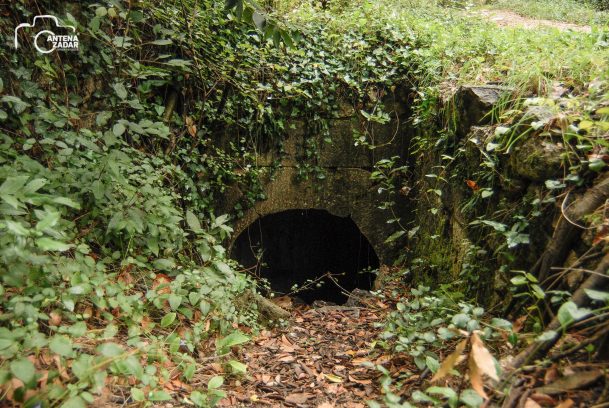 ulicama moga grada-23