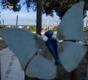 ulicama moga grada-23