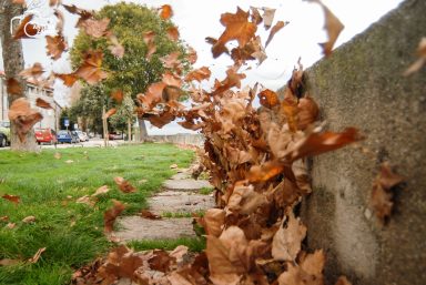 ulicama moga grada-23