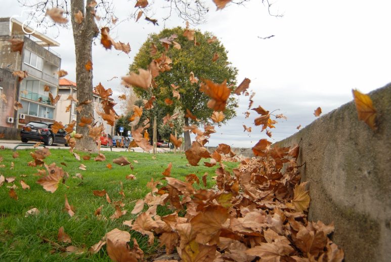 ulicama moga grada-24