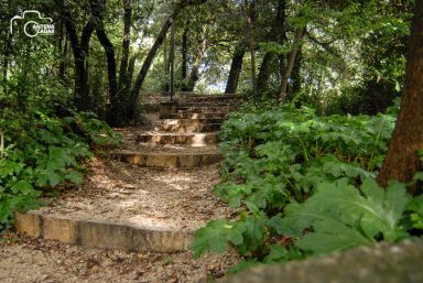 ulicama moga grada-28