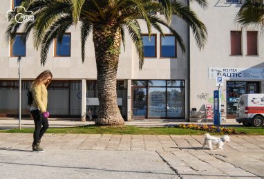 ulicama moga grada-30