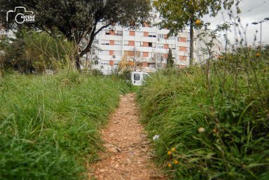 ulicama moga grada-30