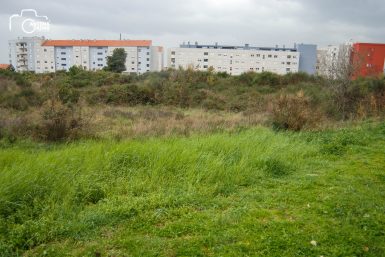 ulicama moga grada-32