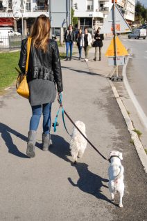 ulicama moga grada-33