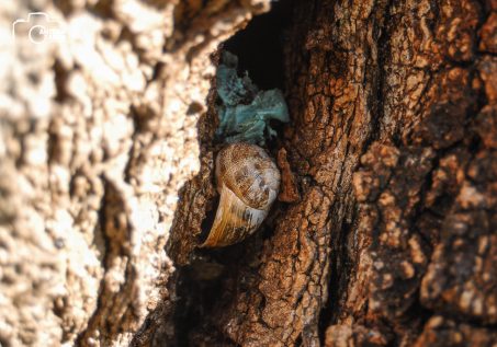 ulicama moga grada-35