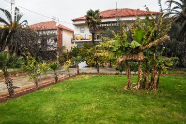 ulicama moga grada-36