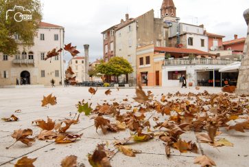 ulicama moga grada-6