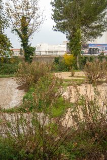 ulicama moga grada-6