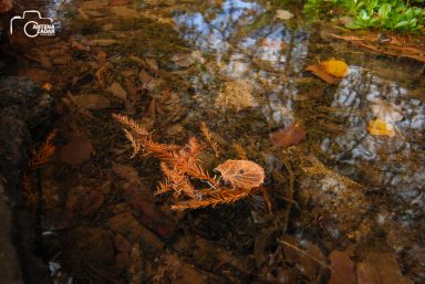 ulicama moga grada-7