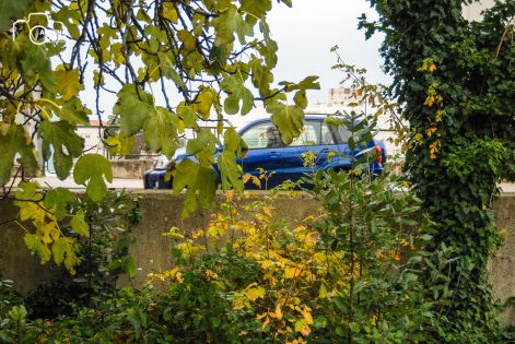 ulicama moga grada-7