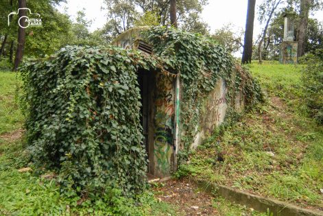 ulicama moga grada-8