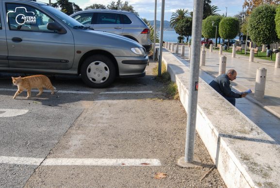 ulicama moga grada-8