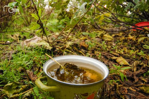 ulicama moga grada-8