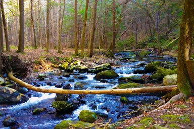 Suzana_Mestrić_Flow