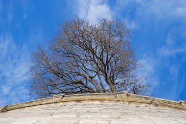 ulicama moga grada-10