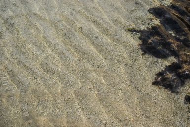 ulicama moga grada-12