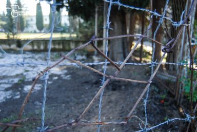 ulicama moga grada-18