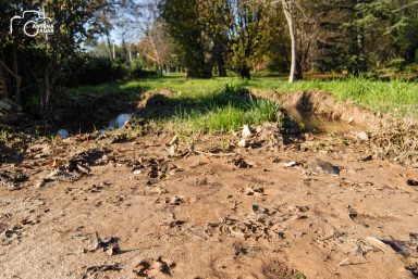 ulicama moga grada-24