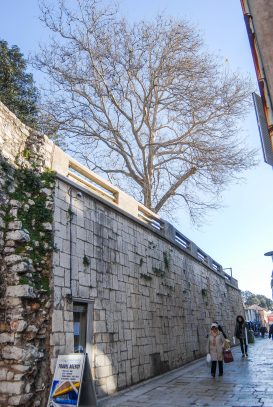 ulicama moga grada-27