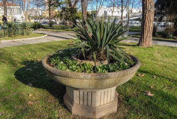 ulicama moga grada-35