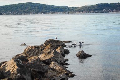 ulicama moga grada-6