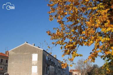 ulicama moga grada-7