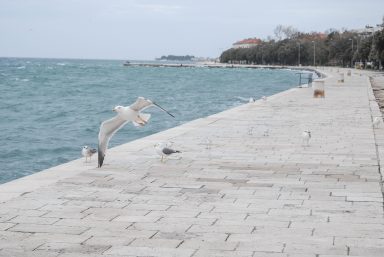 ulicama moga grada-7