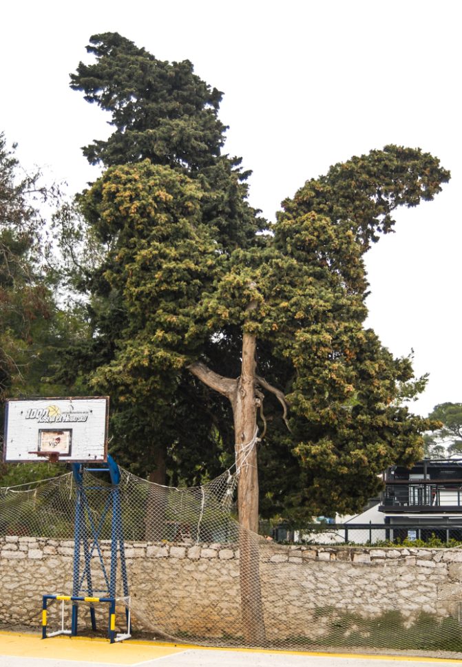 puntamika,skolsko igraliste