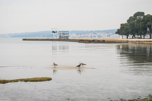 puntamika,plaza borik