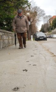 ulicama moga grada-10