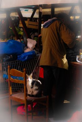 ulicama moga grada-12