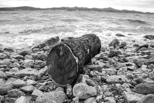 ulicama moga grada-14