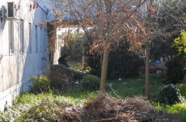 ulicama moga grada-22