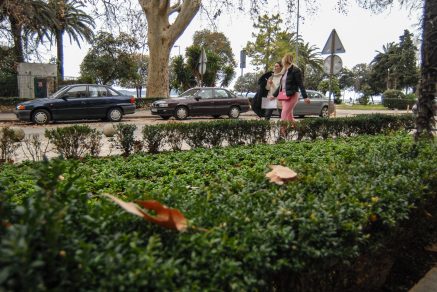 ulica mihovila pavlinovica