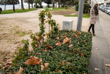 zima,obala petra kresimira IV,riva