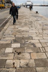 pseca govna,kucni ljubimci