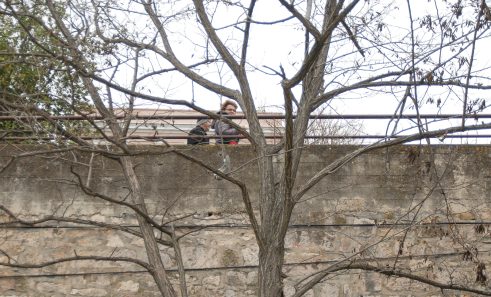 ulicama moga grada-9