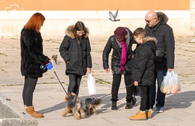 forum,kucni ljubimci