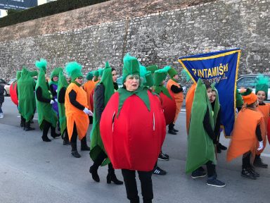 Zadarski karneval 2018. (34 of 87)