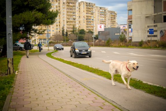 ulicama moga grada-14