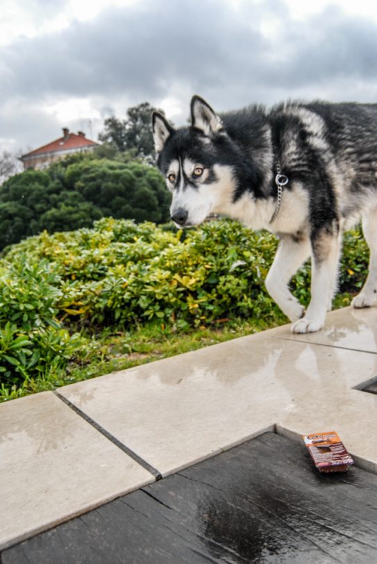 ulicama moga grada-2