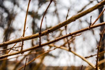 ulicama moga grada-25