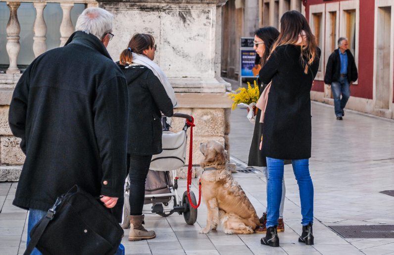 ulicama moga grada-27