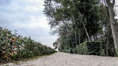 ulicama moga grada-28