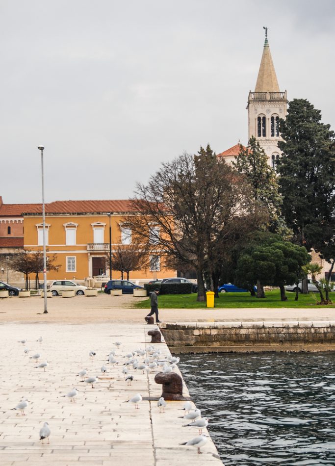 ulicama moga grada-5