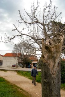 ulicama moga grada-7