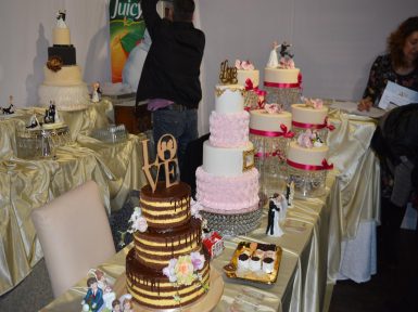 DSC_0180_resize