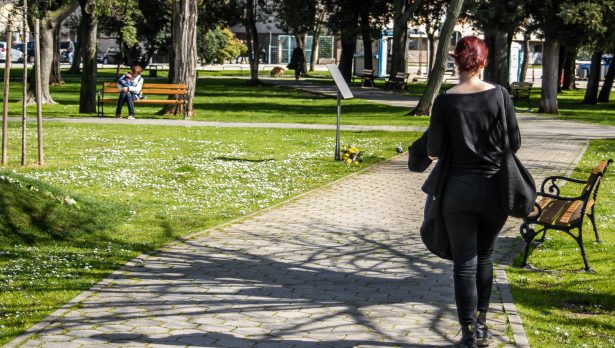 trg kneza višeslava,park