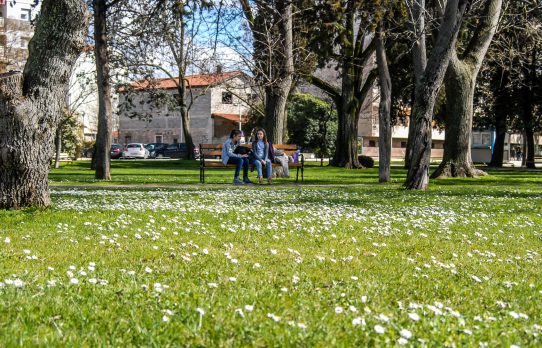 livada,proljeće,trg kneza višeslava